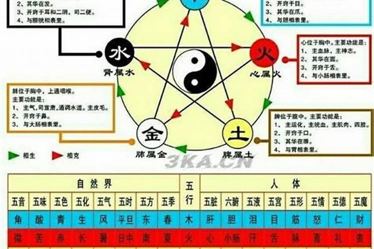怎样判断自己是金木水火土命？