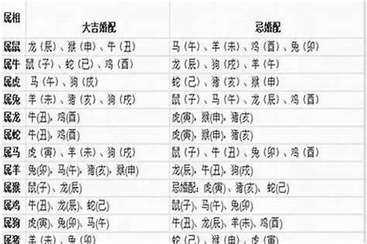五行子午可以婚配吗？
