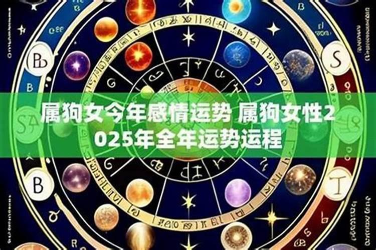 属狗女今年属猪的运程