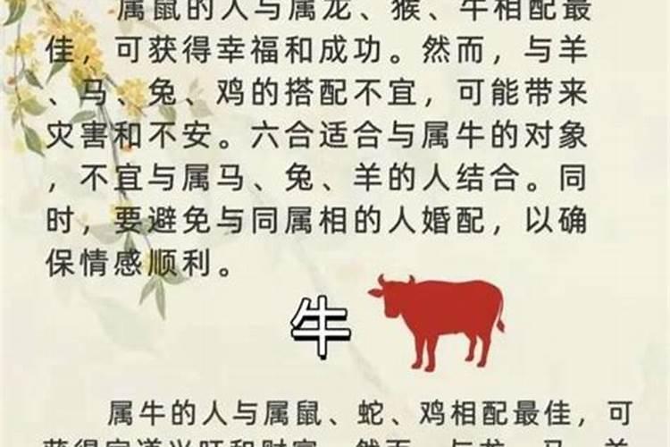 女牛男蛇属相婚配好吗？
