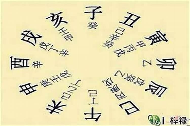 八字排盘中才什么意思？