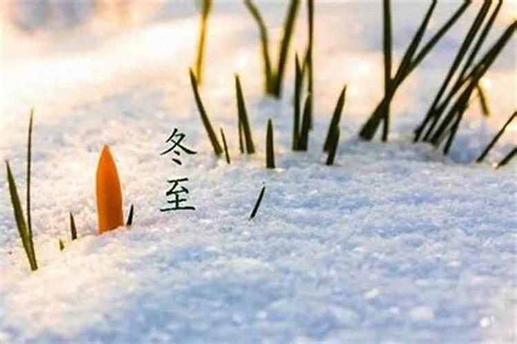 冬至立碑注意事项