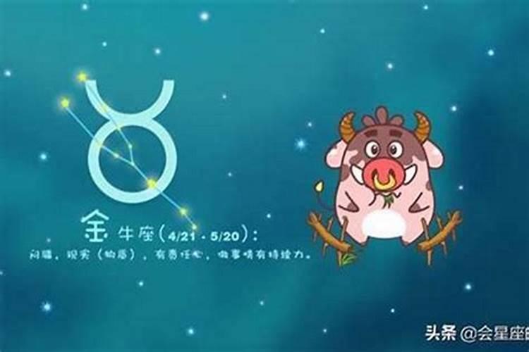 属兔10月份运势如何？