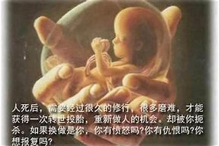 七个月堕胎以后要不要超度