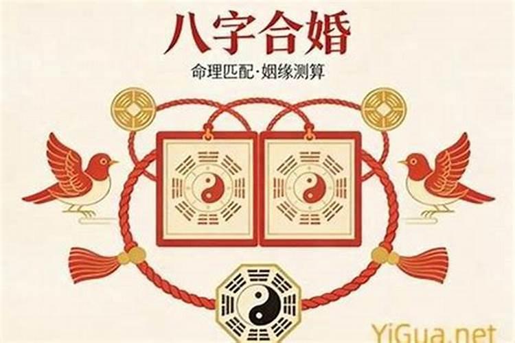 属兔和属猪八字合不合
