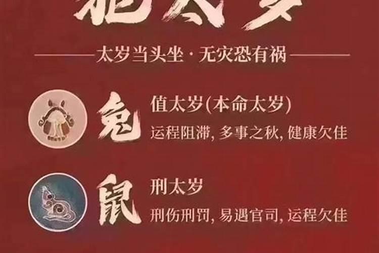 刑太岁和害太岁是什么意思属蛇？