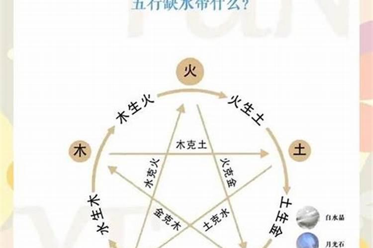 水猪命里缺什么？