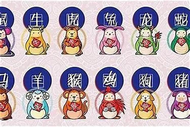2026年今天农历属什么生肖运势？