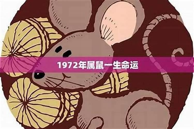 1972年出生属鼠在2026年运程