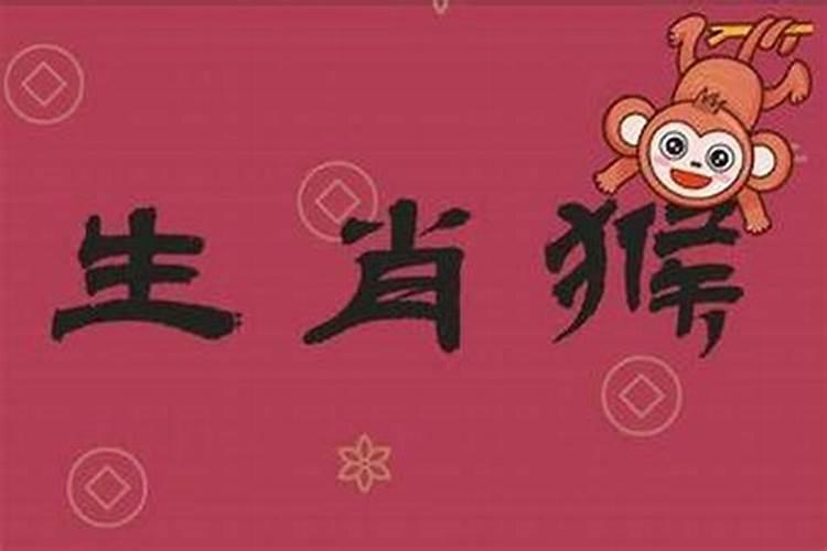 属猴的2026年运势女