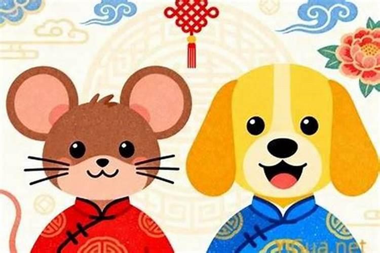 70年狗和72鼠合婚吗？