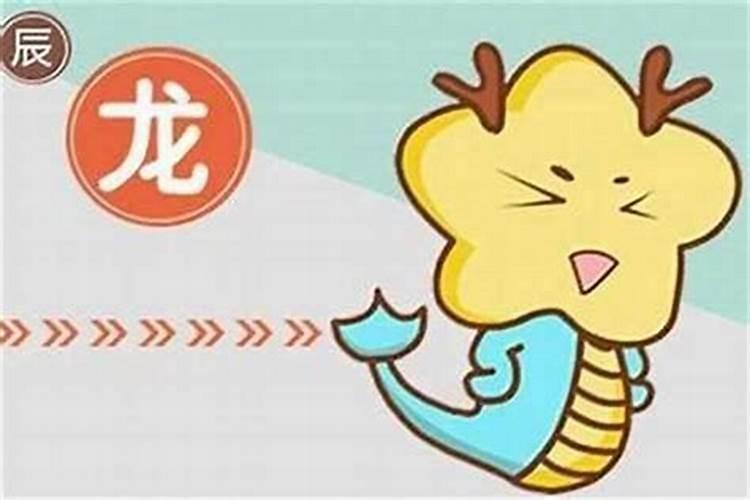 属狗男和属龙女八字合吗？