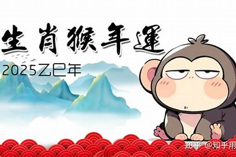 92属猴人今年运势如何？