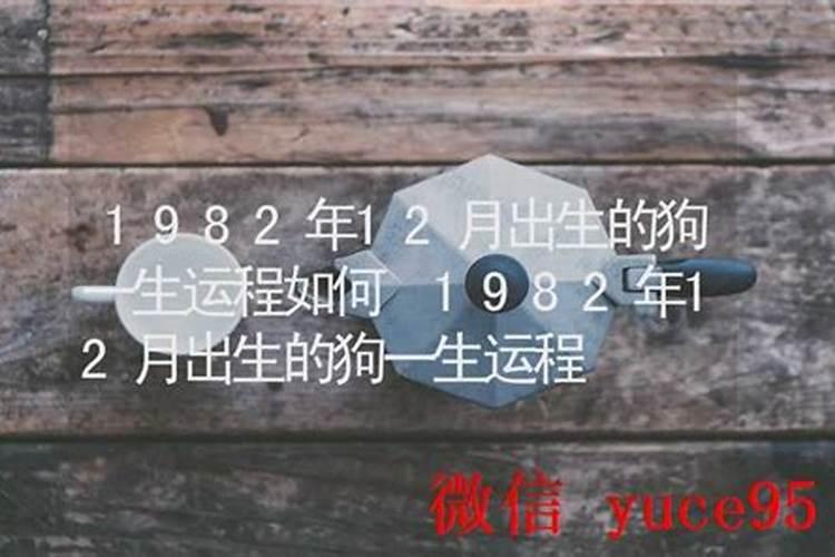 82年狗一生的事业运程