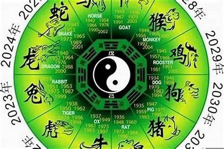 属鼠的8月运势如何？