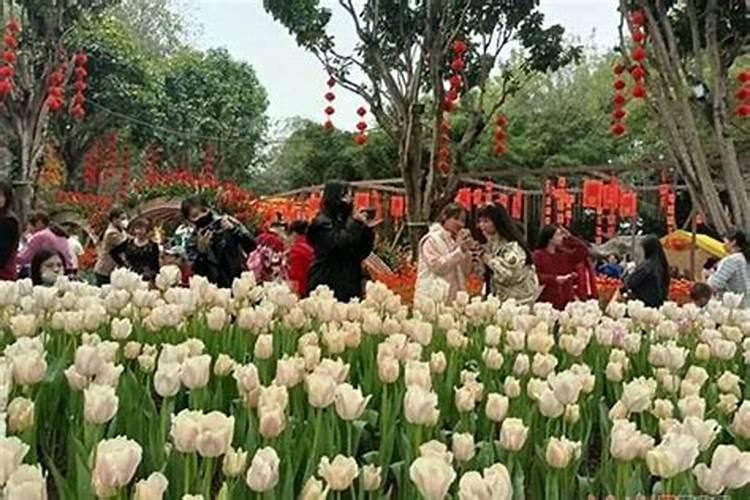 南宁青秀山可以做法事吗？