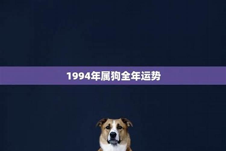 1994年属狗女性运势如何？