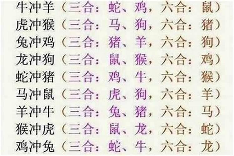 羊狗兔八字合吗？