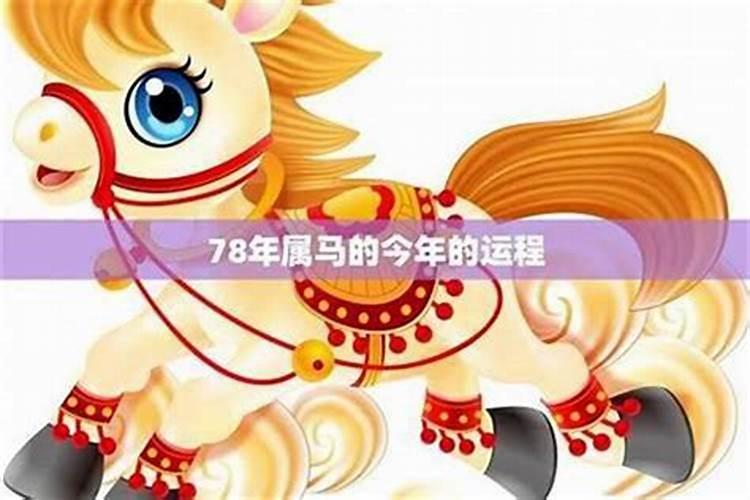 78年马哪一年转运？