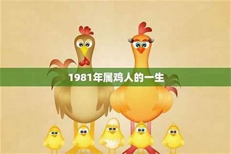 属鸡的人在鸡年的运程如何？