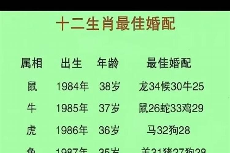 八字算命属蛇的人相配吗？