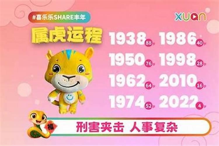 数虎2026年运势及运程