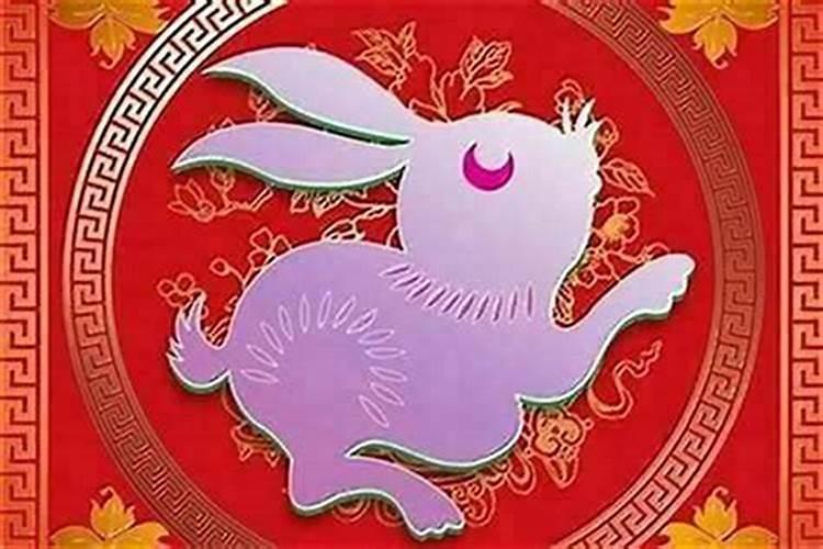 兔本命年结婚好不好？