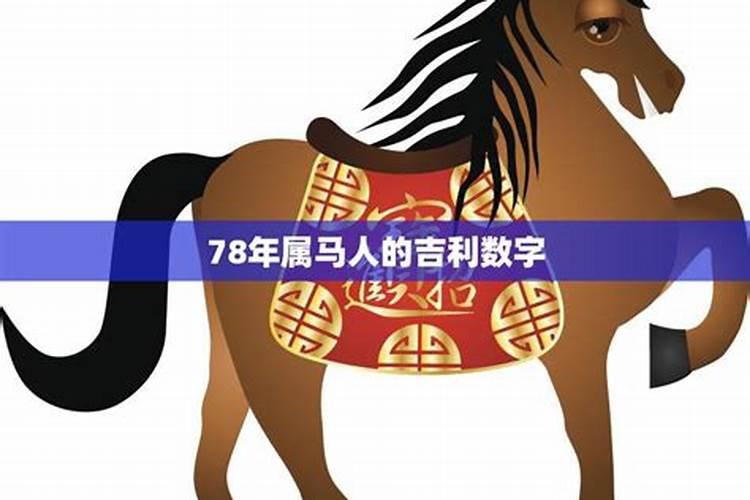 属马腊月幸运数字