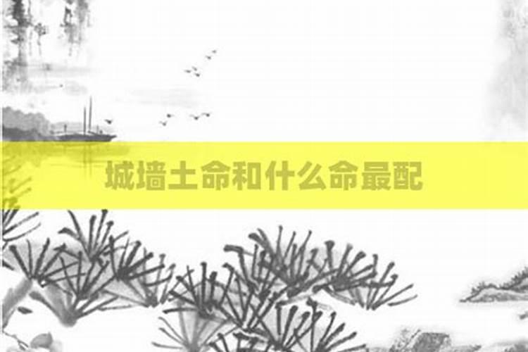 城墙土命和什么命最配？