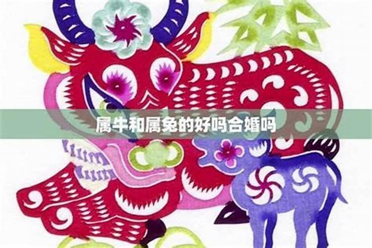 属兔的跟属牛的合婚吗？