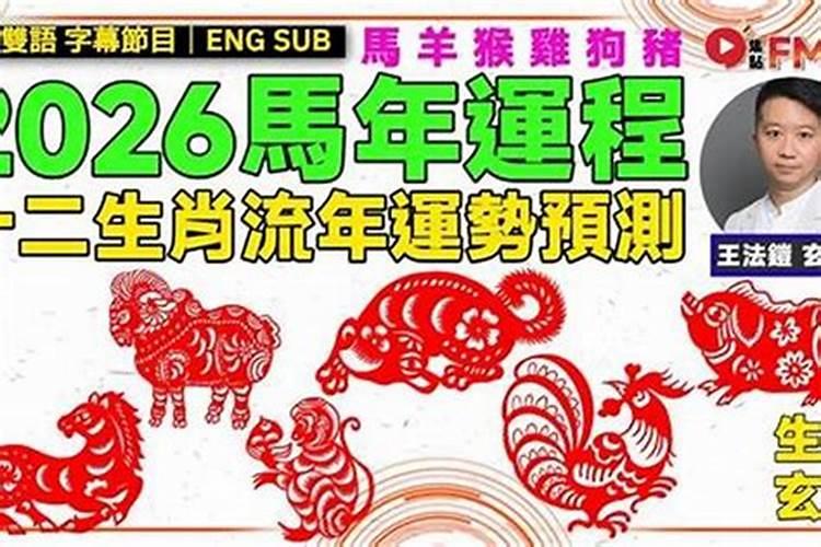 94肖狗2026年运程