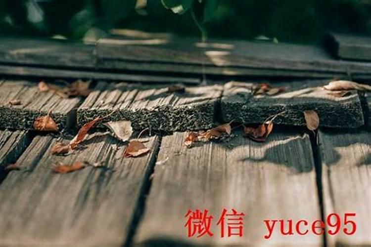 找老婆最好的3个属相