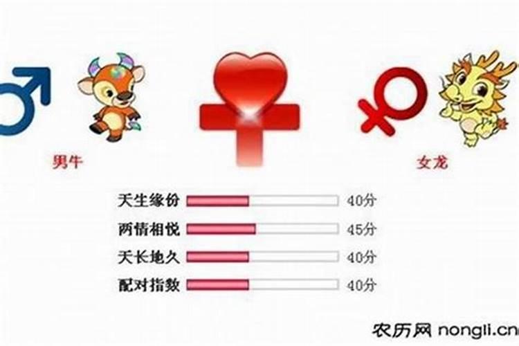 女性属牛男猪合婚吗？