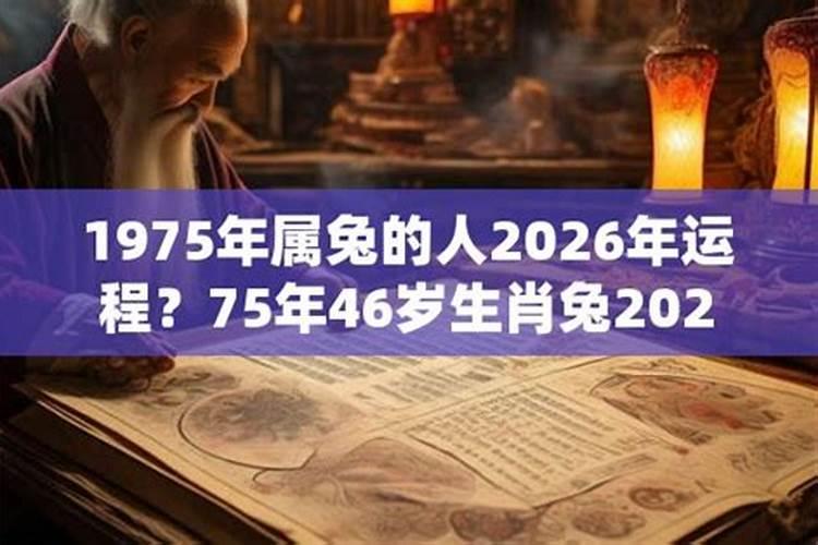 1975年属兔的人2026年运程