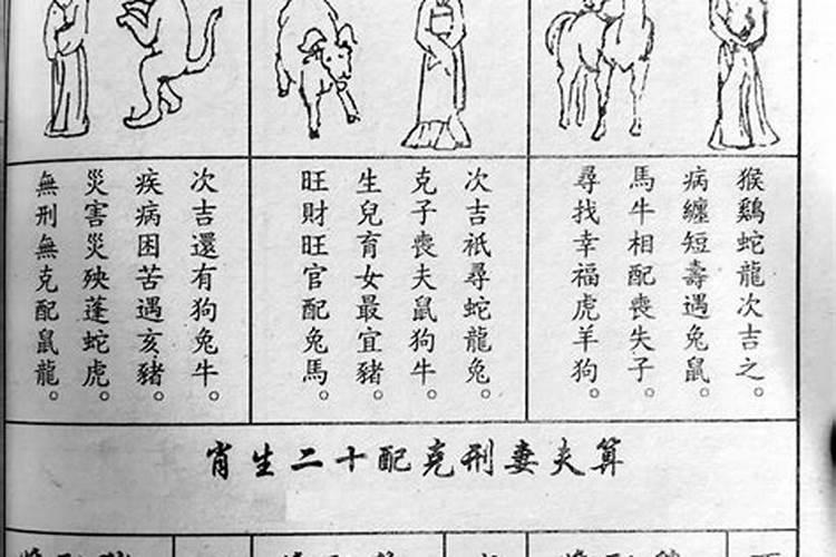 属相狗牛婚配好吗？