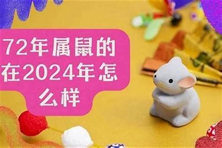 属鼠2026年运程72年