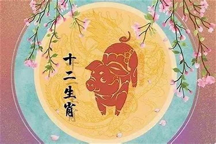 95年属猪人2026年运势