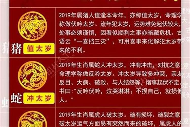 害太岁刑太岁怎么化解蛇？
