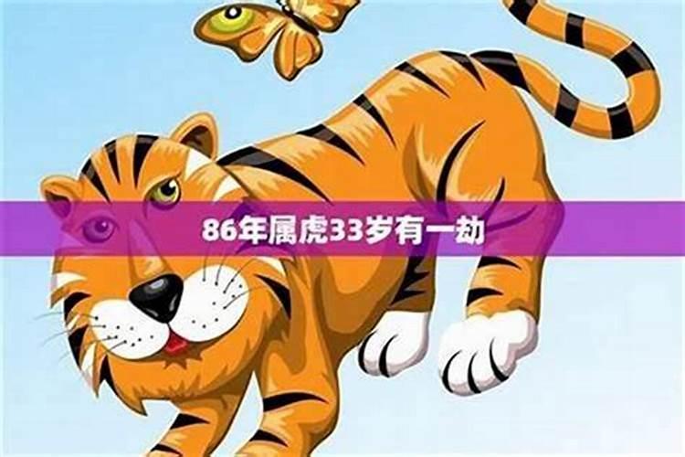 86年的虎本命年是2026年吗？