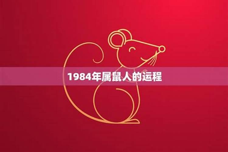 1984年5月属鼠人的运程如何？