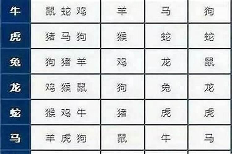 女狗男鼠属相婚配好吗？