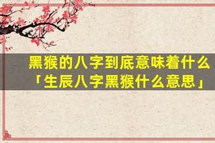 生辰八字黑猴什么意思？