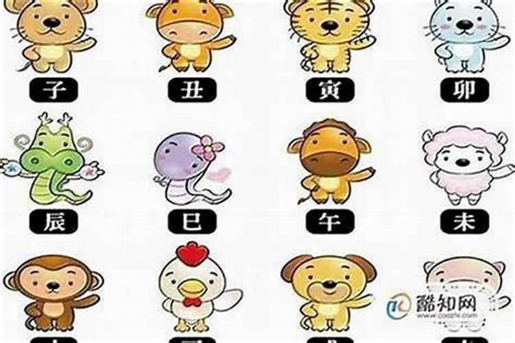 本命年运气好的属相