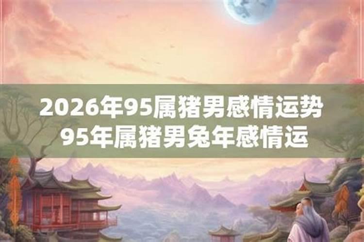 95年属猪2026年的感情运运势
