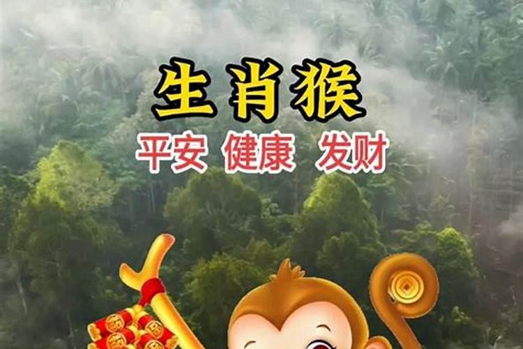 本月属猴生肖运势如何？