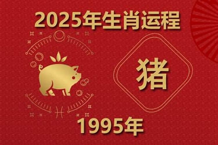 1995猪年下半年运势