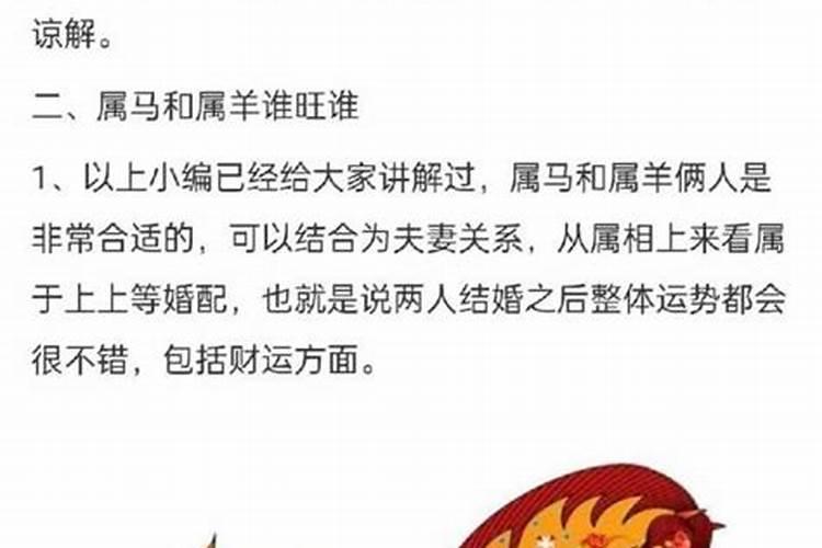 属马的和属猪的婚合婚吗？