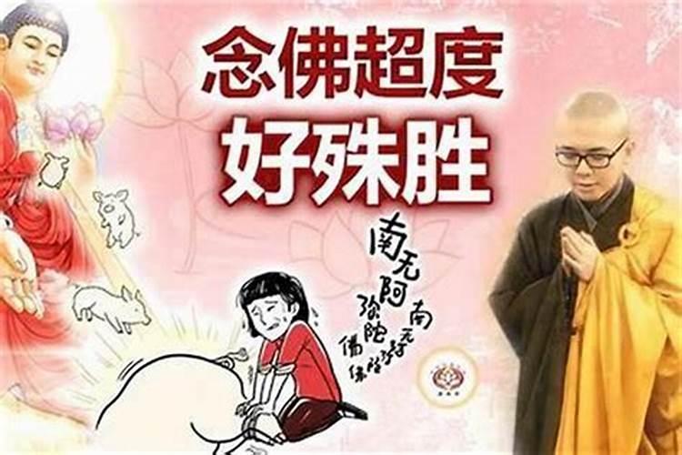 大悲院婴灵超度