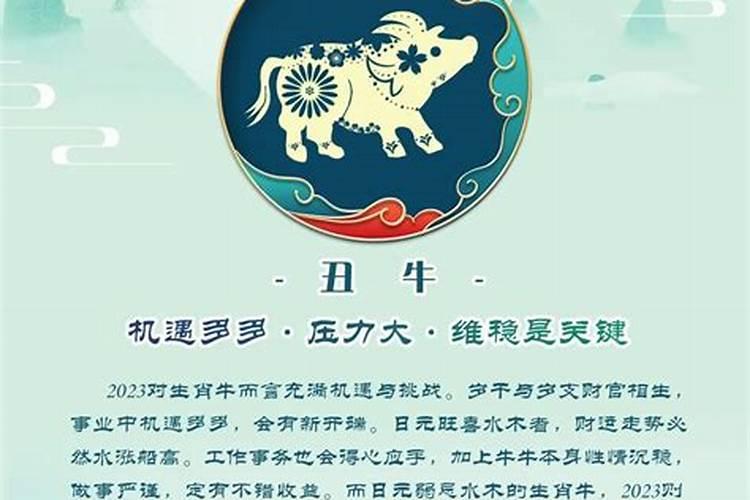 生肖为兔今年运势