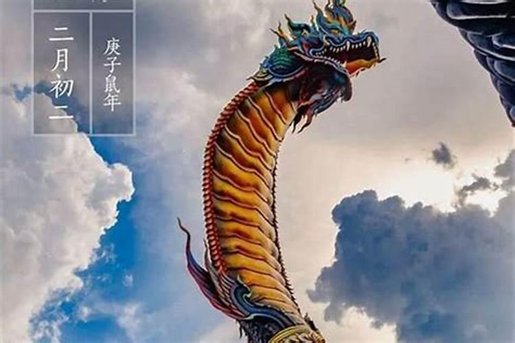 离龙抬头的日子还有几天？